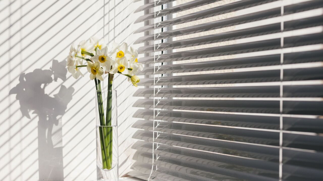 No hassle: how to quickly clean roller shutters and blinds from dust and dirt