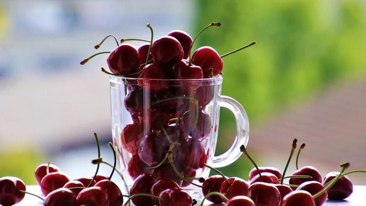 How to make cherry liqueur with vodka: an elementary recipe
