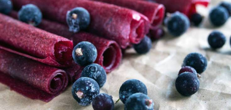 How to make homemade blueberry pastille: an idea from Aleks Yakutov