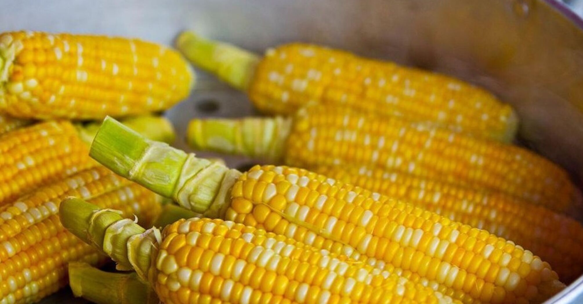 How to cook corn in an unusual way: it turns out soft and juicy