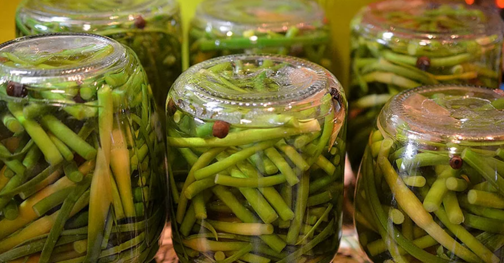 Pickled garlic greens for the winter: a spicy snack you can not buy in a store