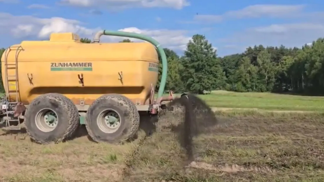 Polish farmers spill pig manure along the border with Belarus: what's going on. Video