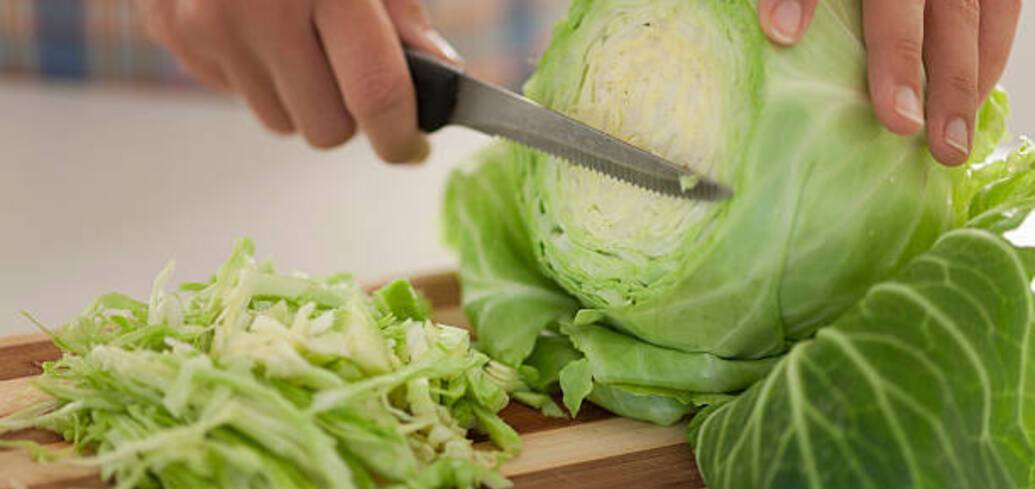 White cabbage for the dish