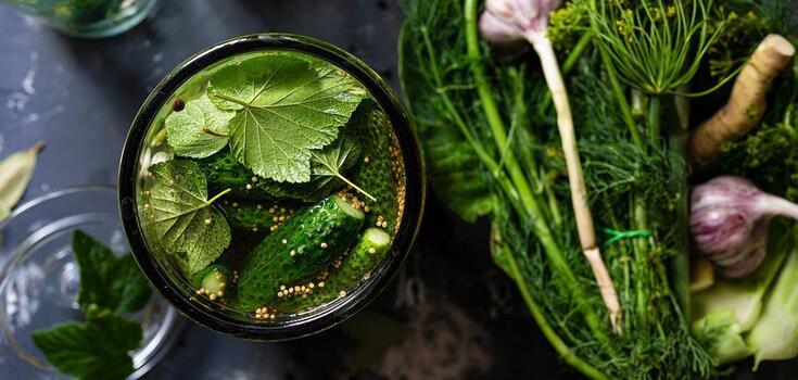 How to pickle cucumbers with chili ketchup for the winter: the most successful recipe
