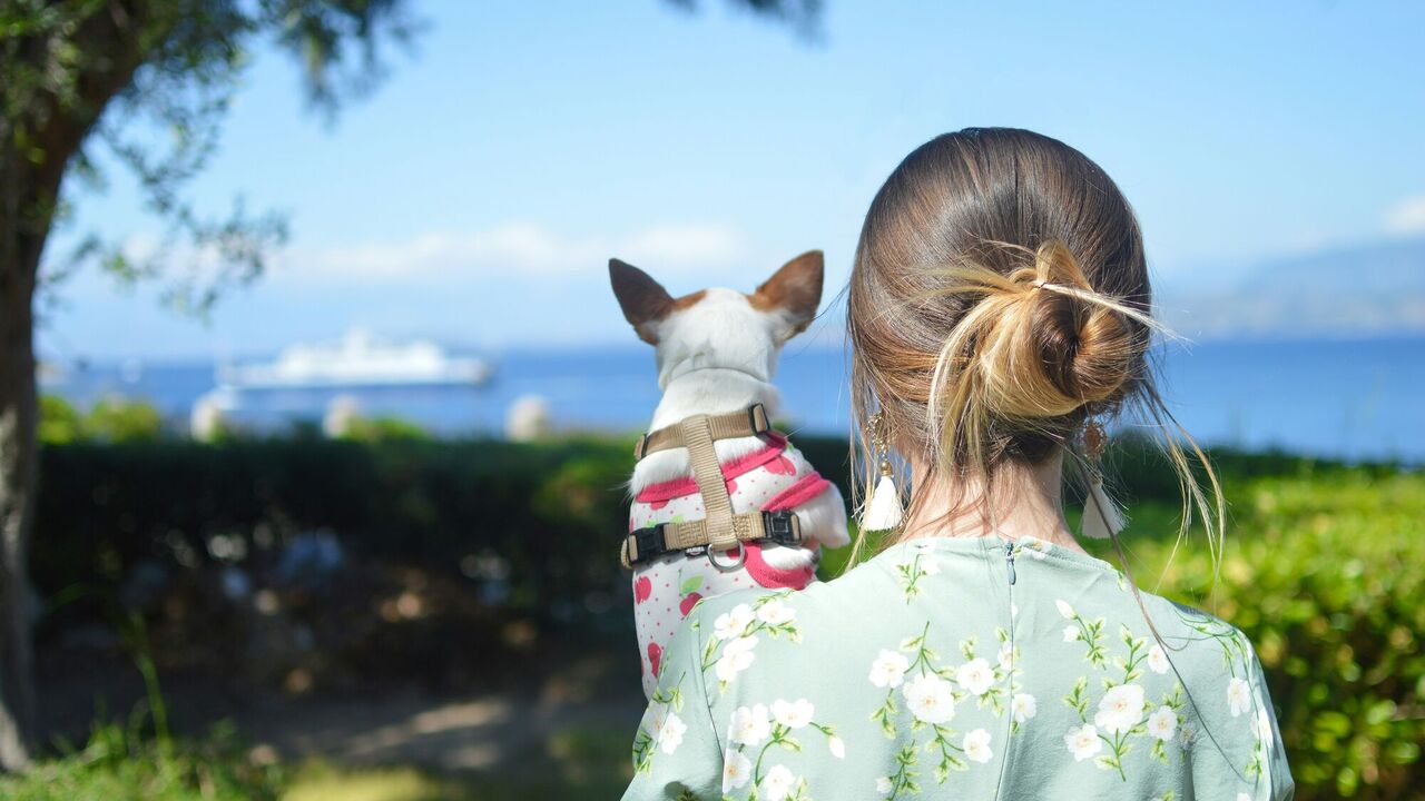 Simple and stylish: 10 hairstyles for the summer that will save you from the heat. Photo