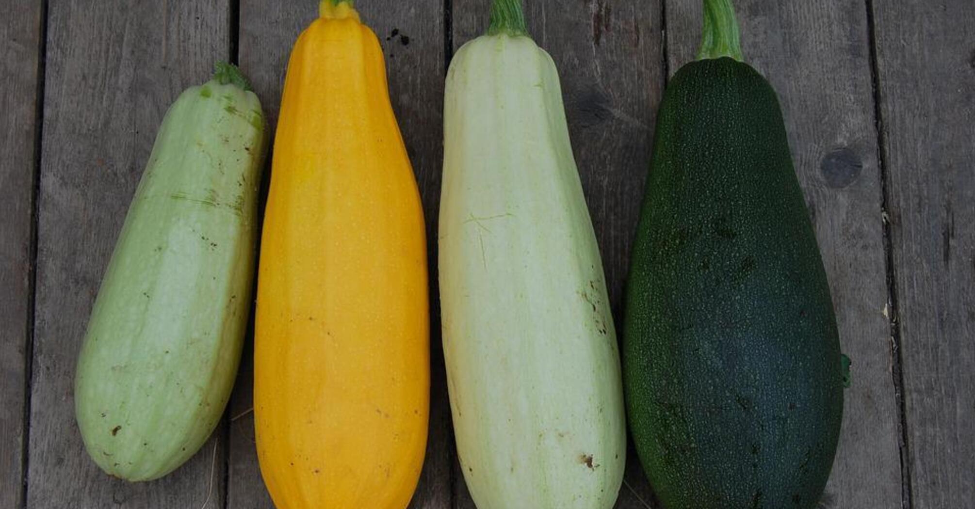 Marinated zucchini with garlic and spices: you can eat in a few hours