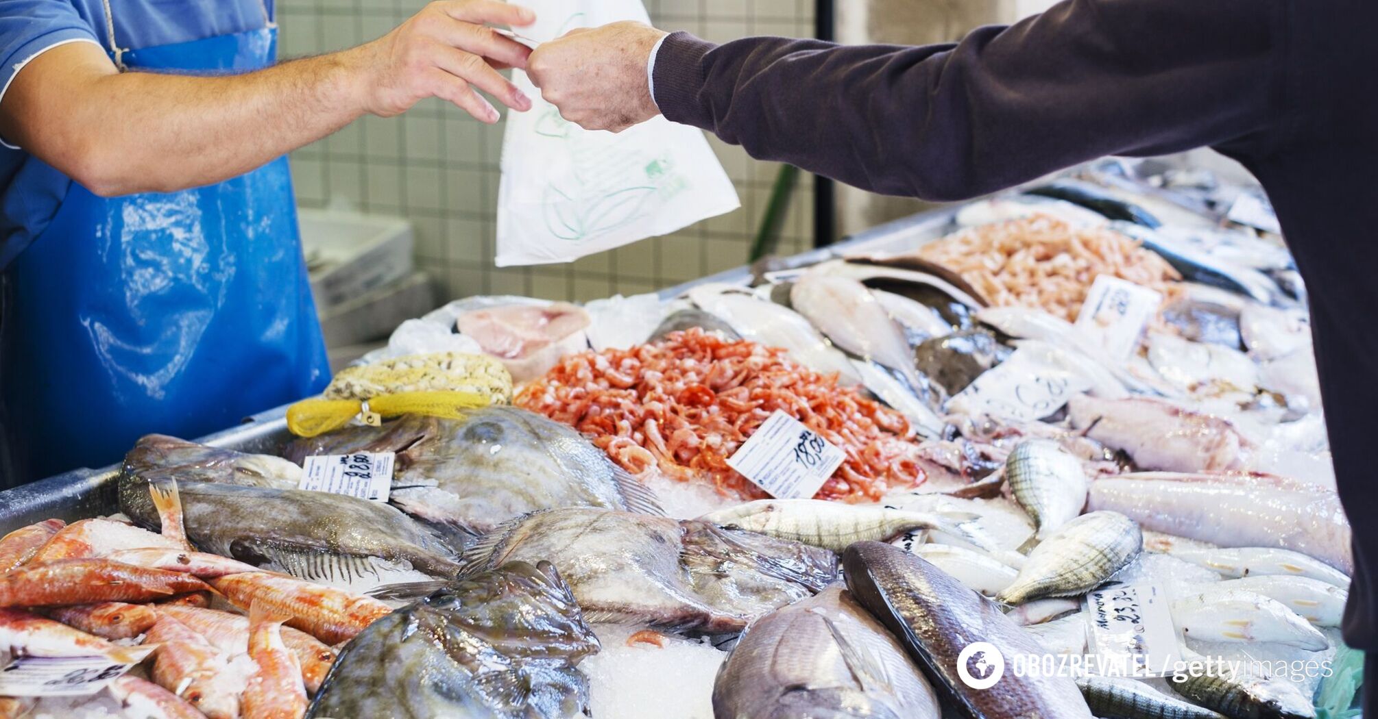 How to choose seafood in summer