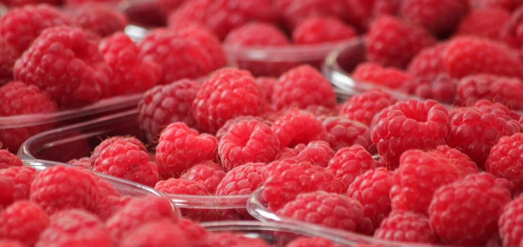 Fresh raspberries