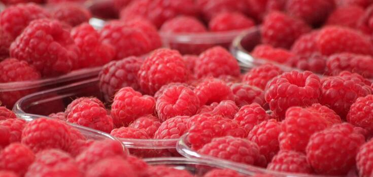 Fresh raspberries