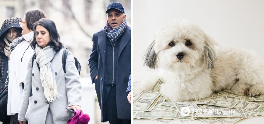 Spent more on a dog than on a maid: the richest family in the UK is caught up in a high-profile scandal. The case is already in court
