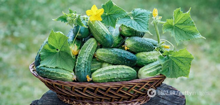 Cucumbers are a good source of vitamins and minerals