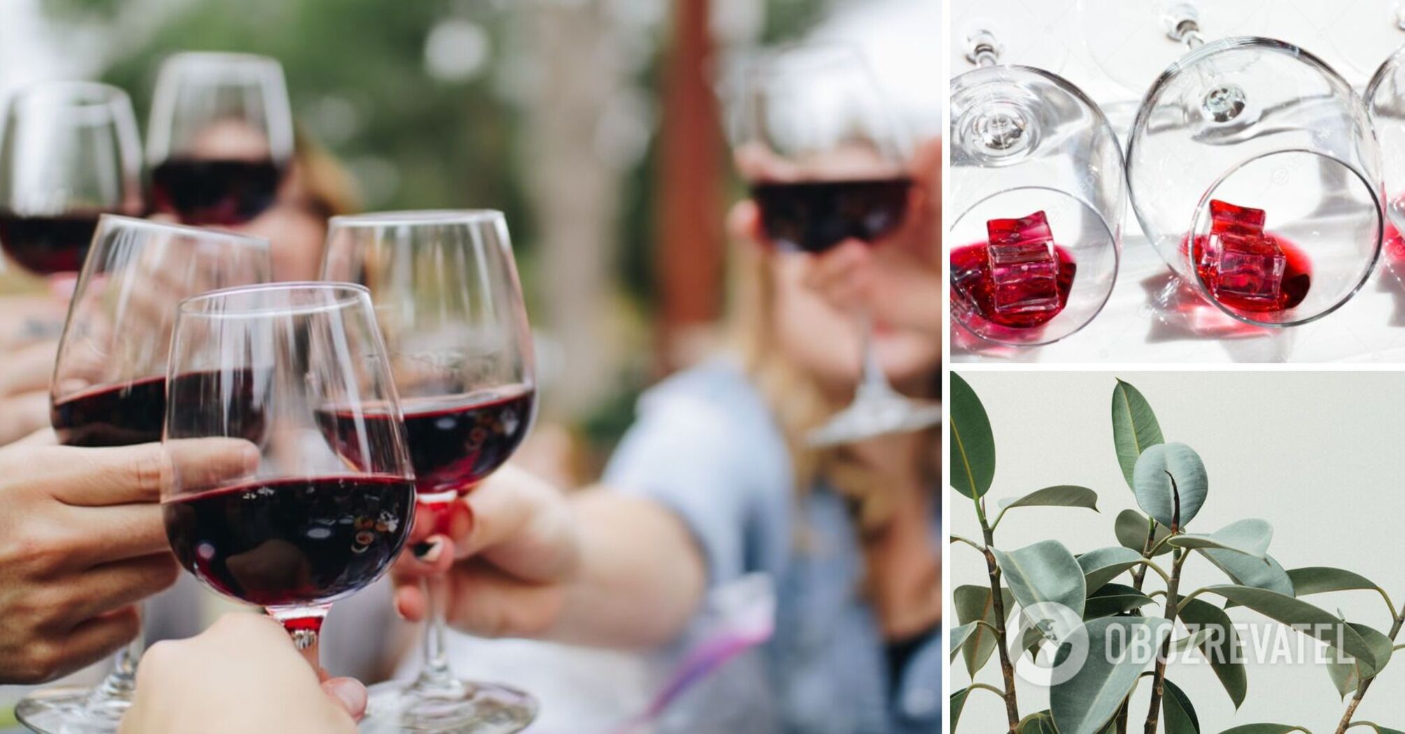 Six unexpected ways to use wine in everyday life