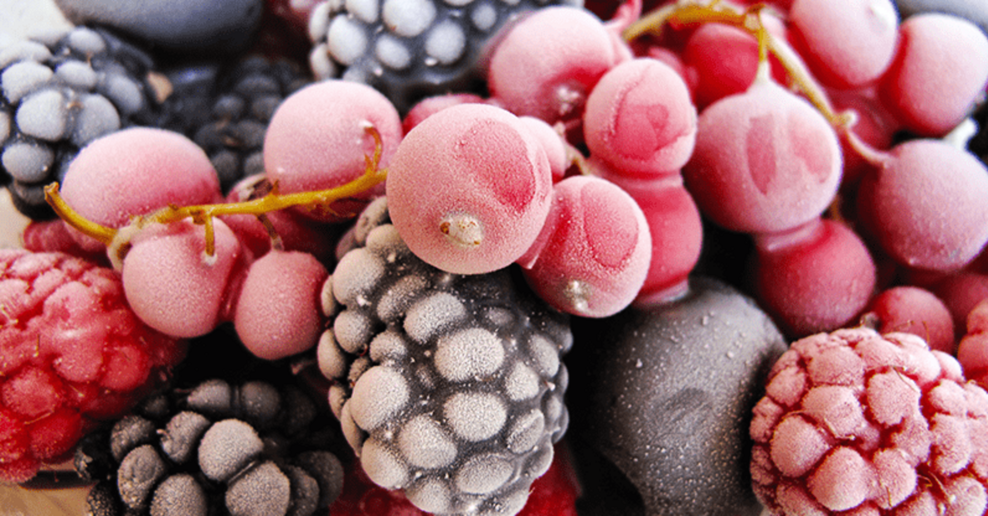 How not to freeze berries and fruits for the winter: mistakes that everyone makes