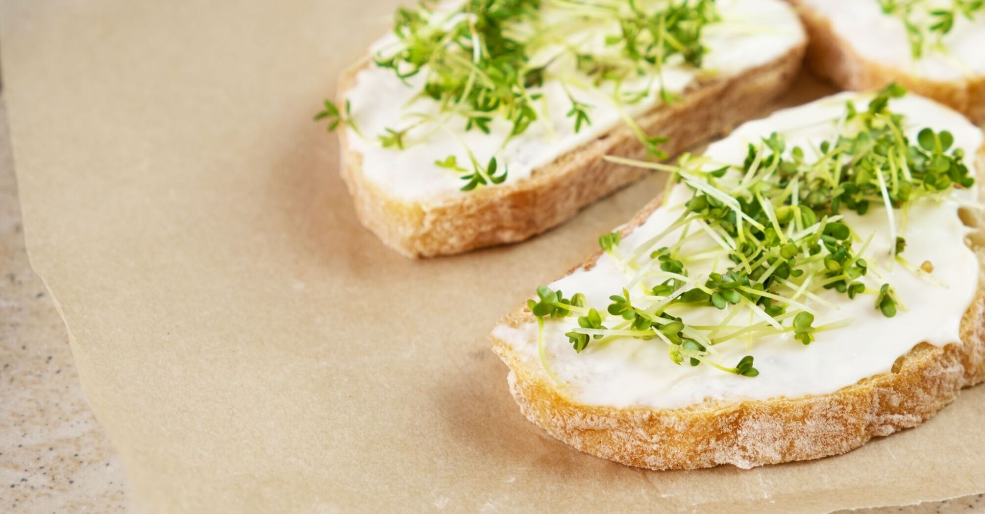 Zucchini and cheese spread: a dish you've never tasted before