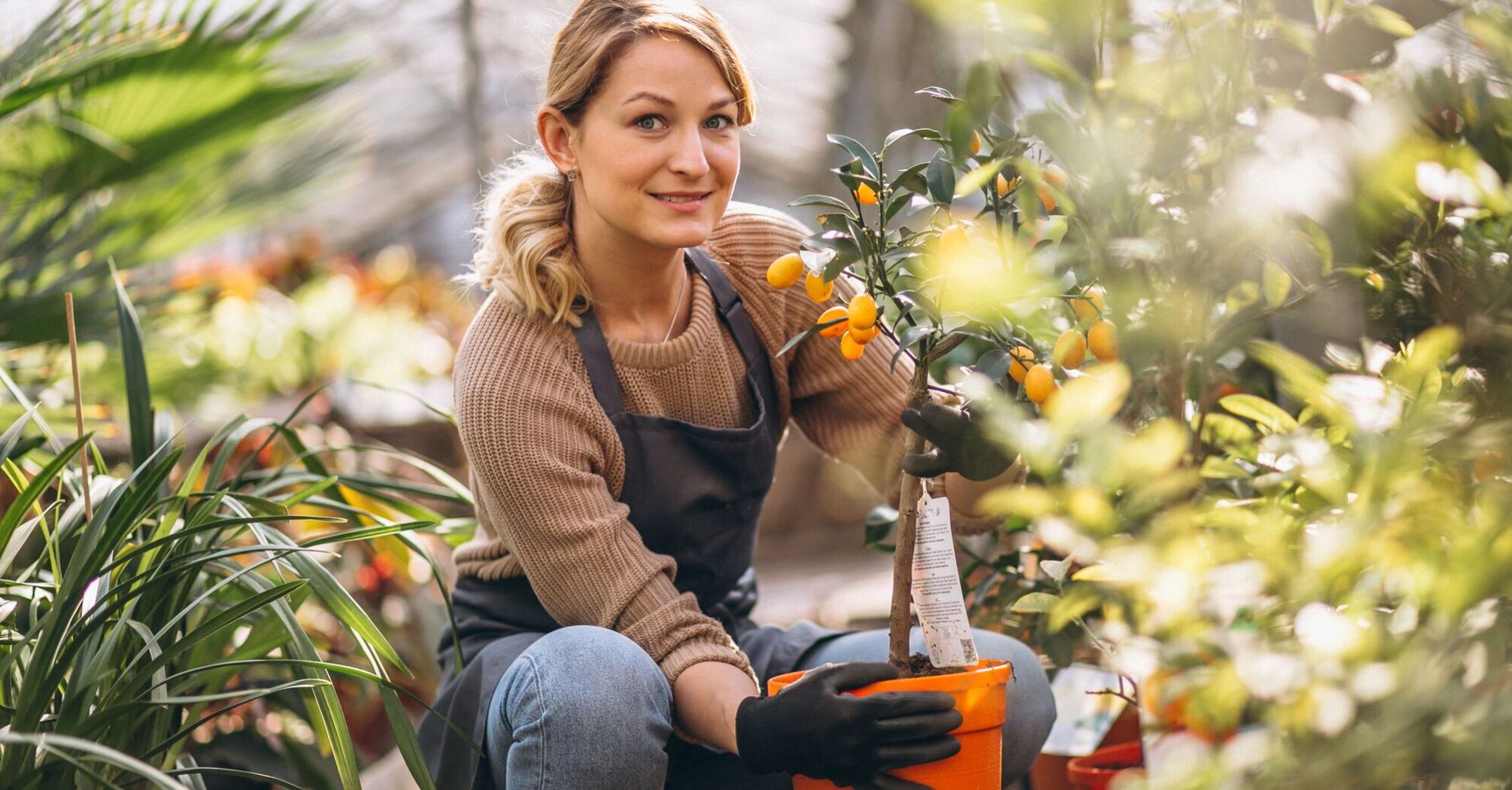 How to protect plants from the summer heat and why constant watering is the worst solution