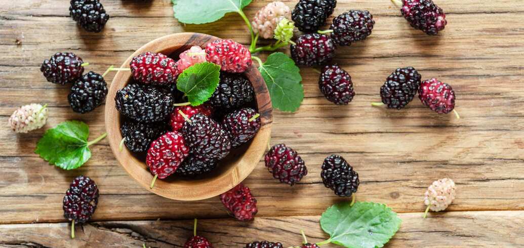 How to wash off mulberry stains from clothes and hands: effective life hacks