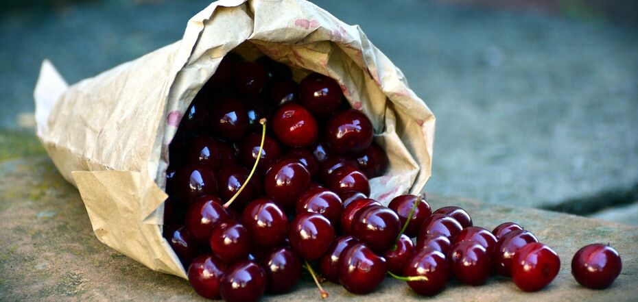 Home-grown cherries