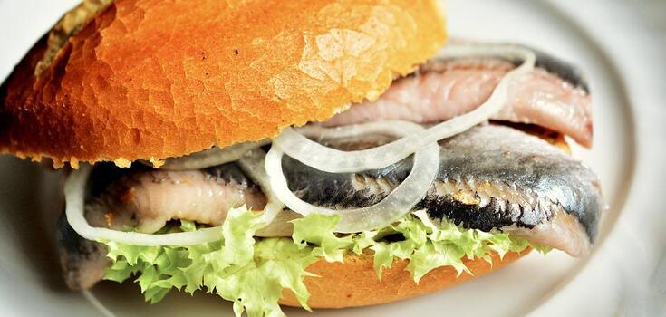 How to cook herring in sour cream: tastes great with sandwiches