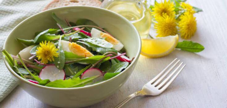 Salad with dandelion leaves: how to prepare a healthy dish