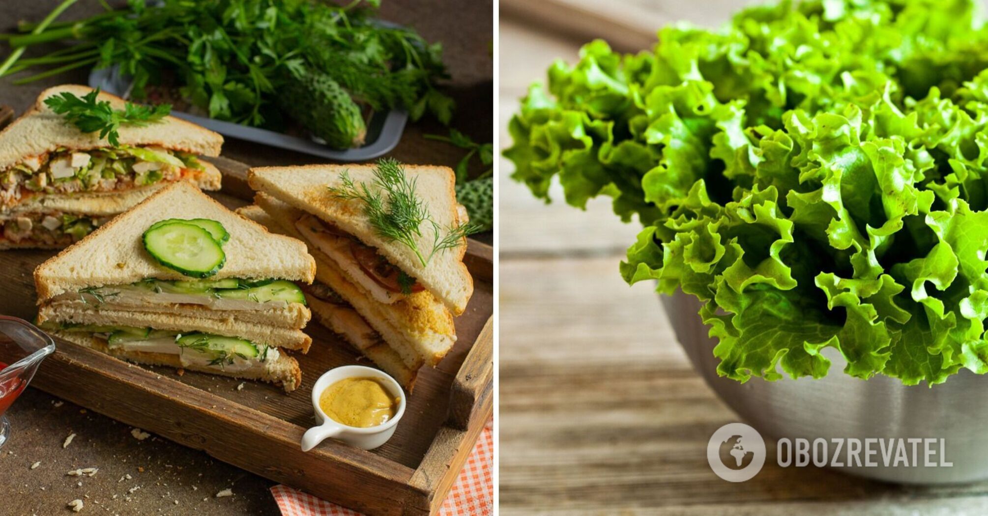 A delicious sandwich