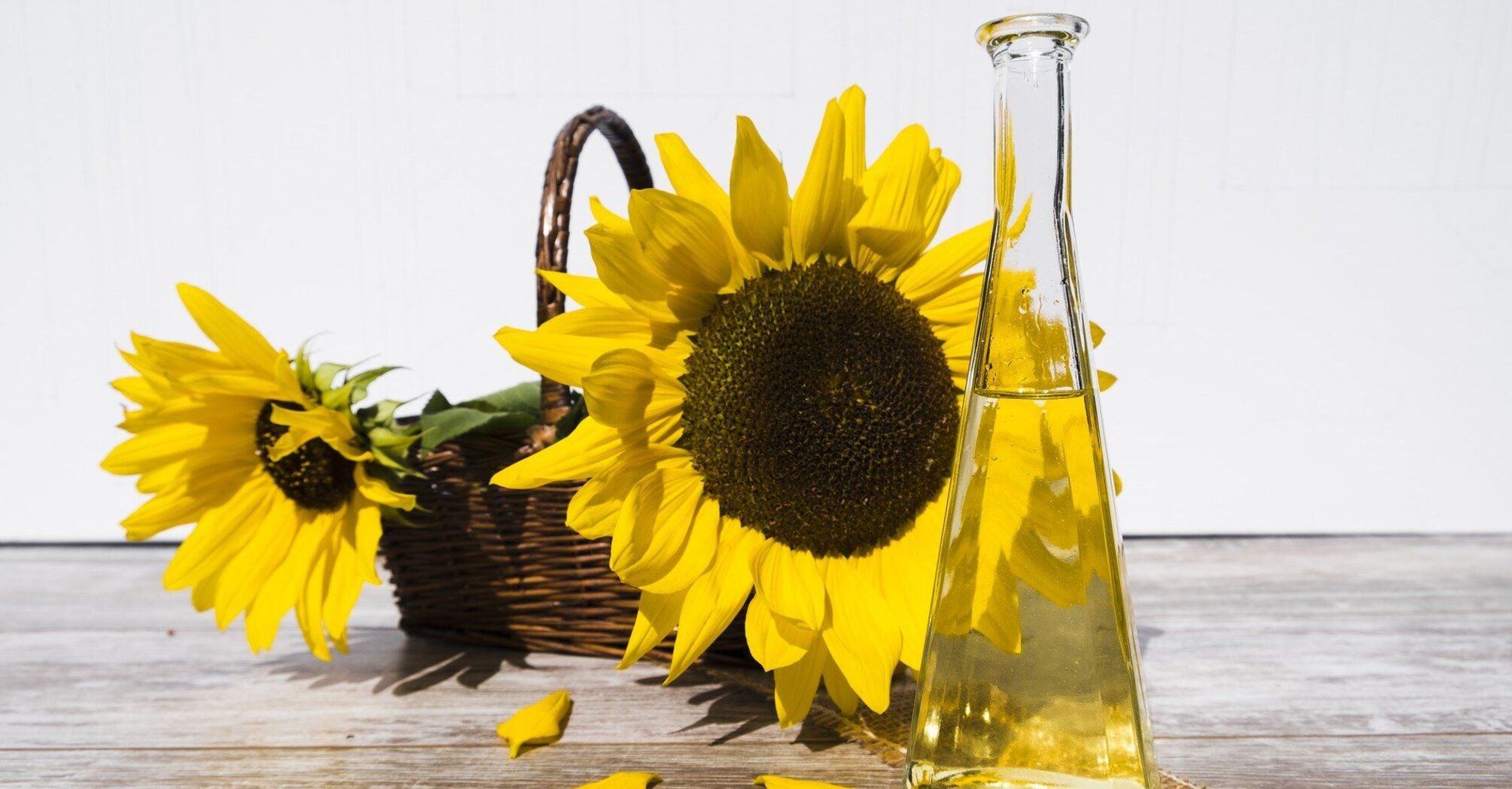 Expert names the safest oil for frying: top 4
