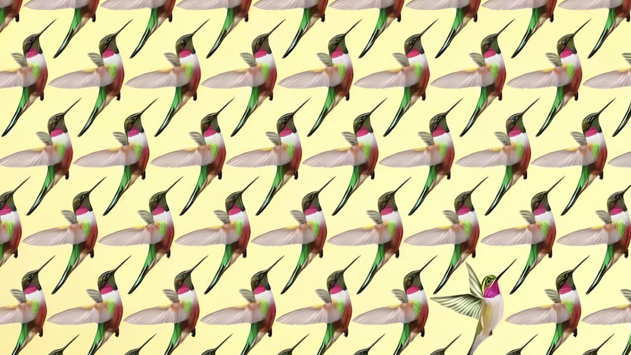 Which bird is extra? Quick puzzle for smart people