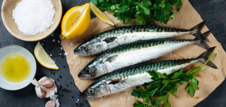 Budget mackerel soup: how to prepare the first dish properly