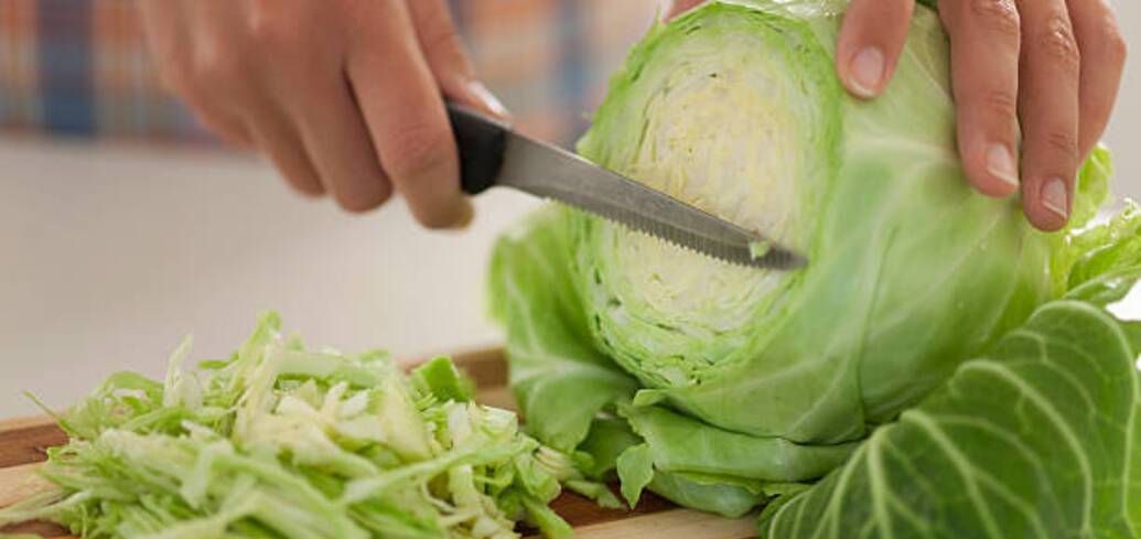 Not just salads: how to cook young cabbage in batter