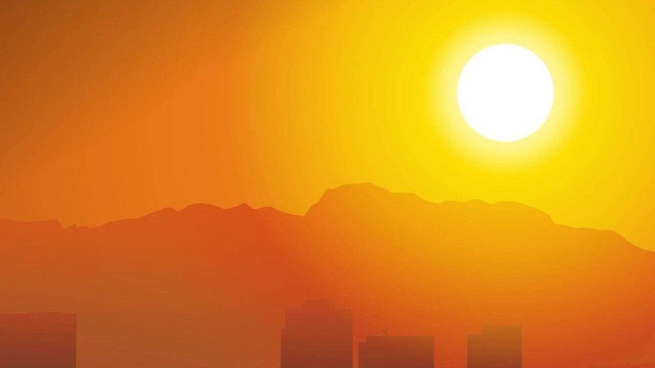 How to survive the summer heat: useful tips