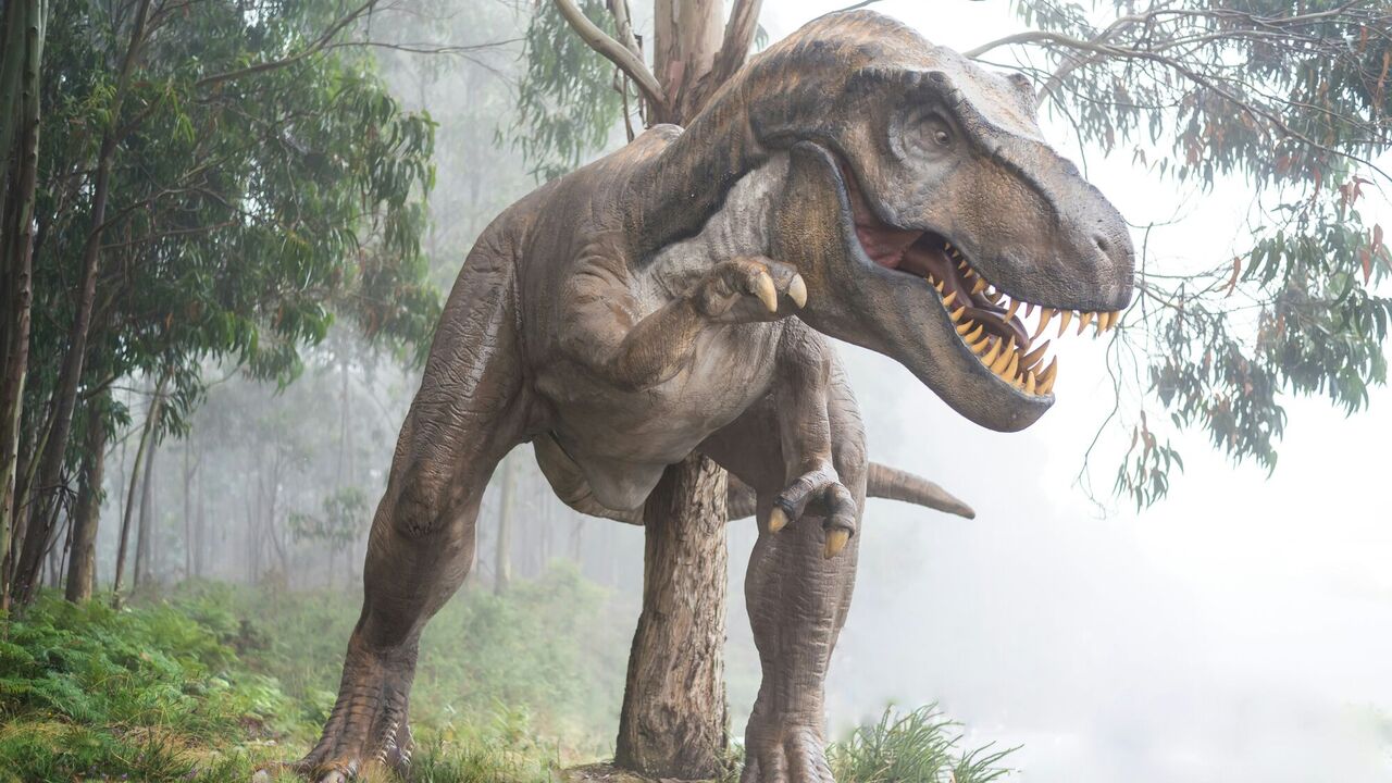 Prawie Park Jurajski: dzieci w USA znalazły rzadką skamielinę Tyrannosaurus Rex. Zdjęcie