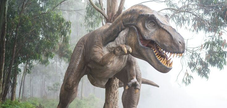 Prawie Park Jurajski: dzieci w USA znalazły rzadką skamielinę Tyrannosaurus Rex. Zdjęcie