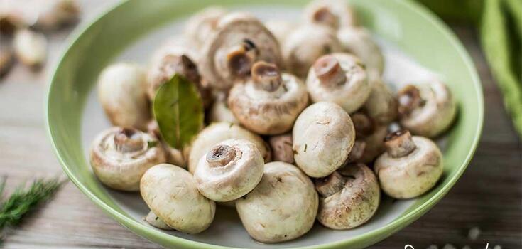 Mushroom recipe