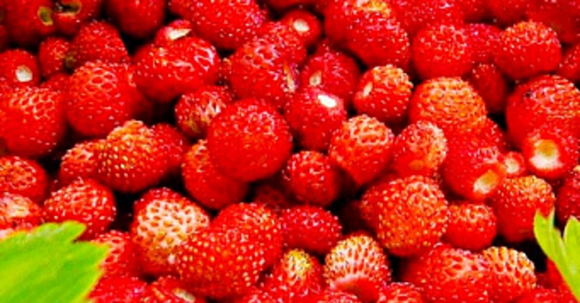 Сезонные фрукты, которые помогут худеть