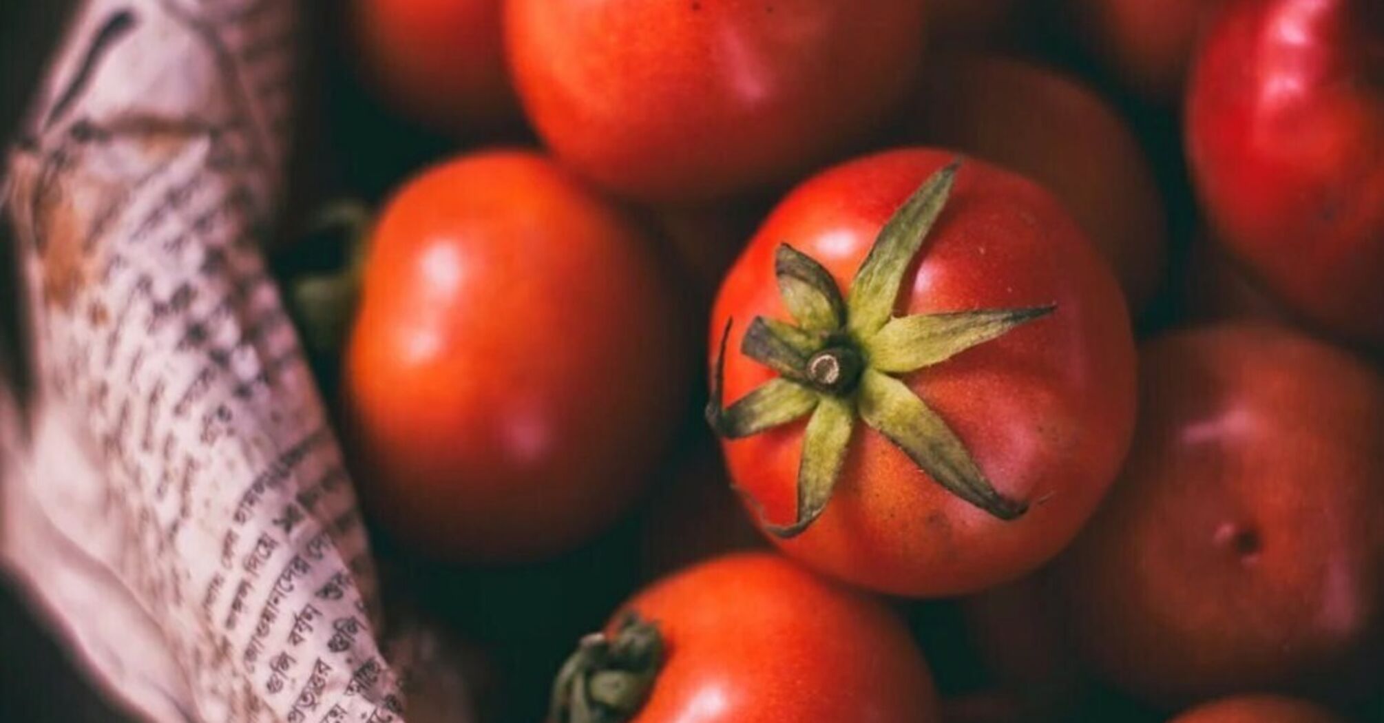 Tomatoes in their own juice: how to pickle for the winter
