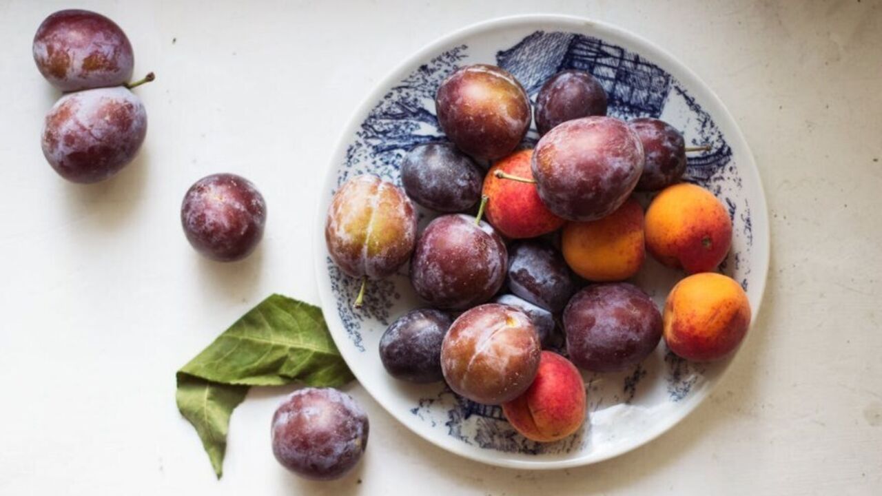 How to pickle plums for winter: a tasty option