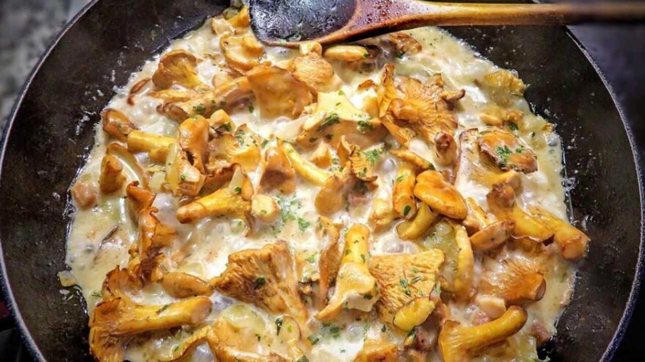 How to cook chanterelles: an idea for a quick meal