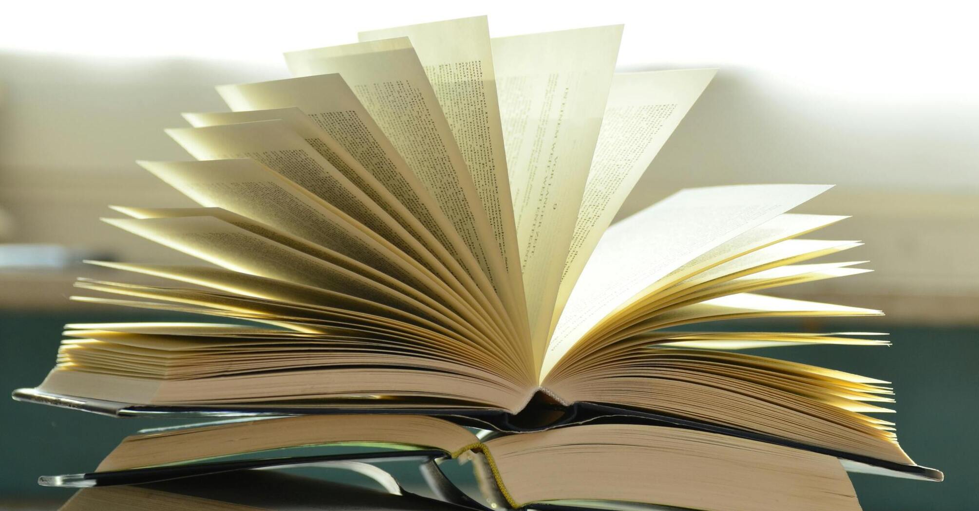 Антология авторов: любимые романы режиссеров, которые следует прочитать