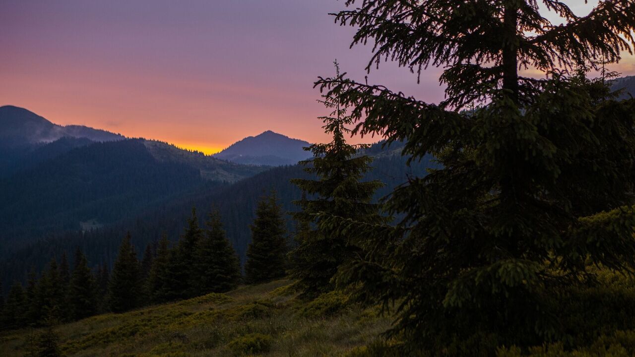 In the Carpathians, a body of a man was found near the border: the police were called to the scene