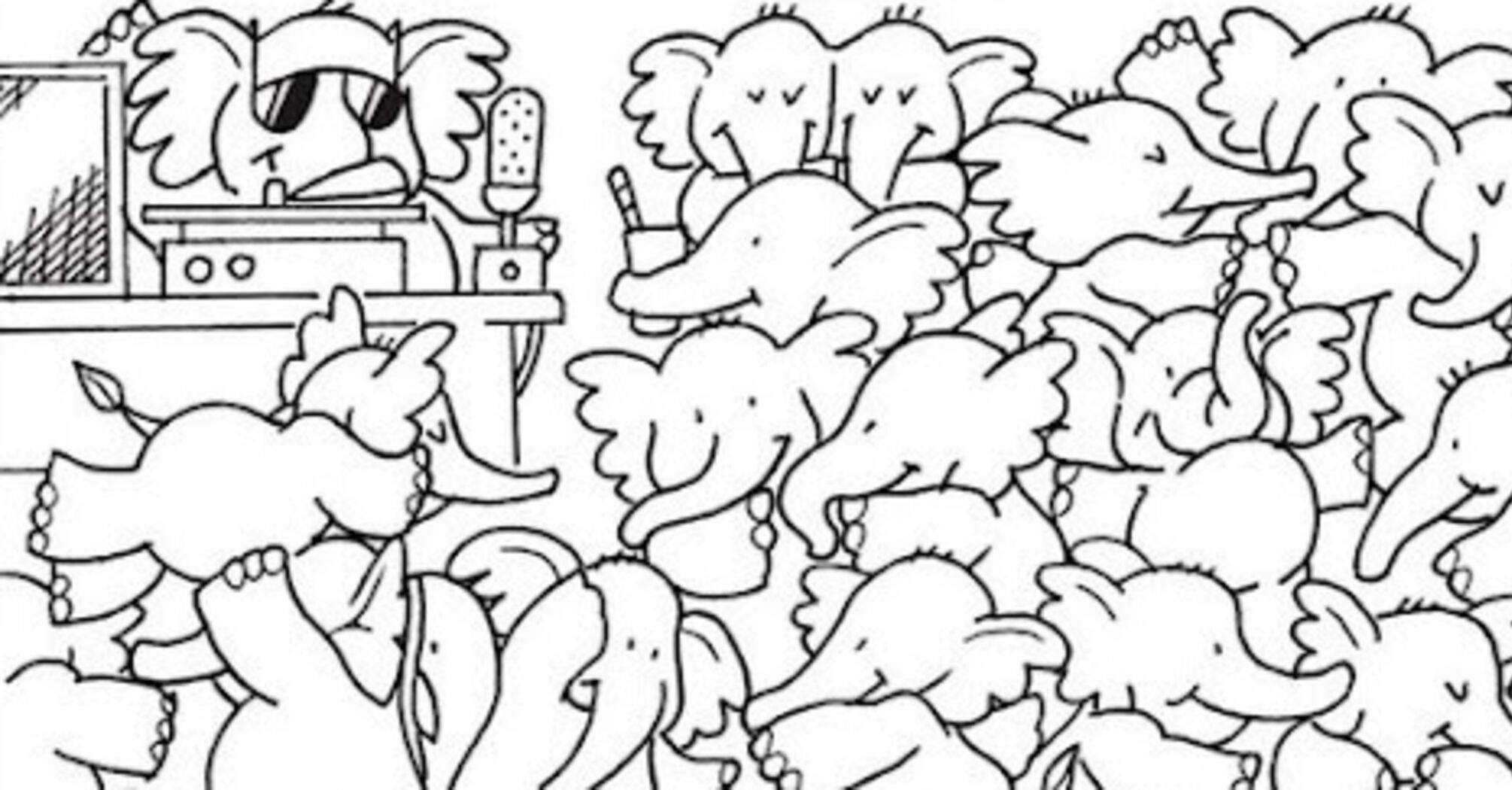 Find the whale among the elephants: an optical puzzle for the most attentive