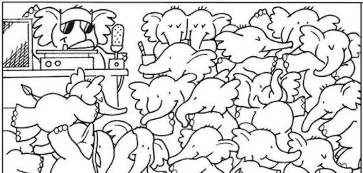 Find the whale among the elephants: an optical puzzle for the most attentive