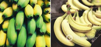 Green bananas