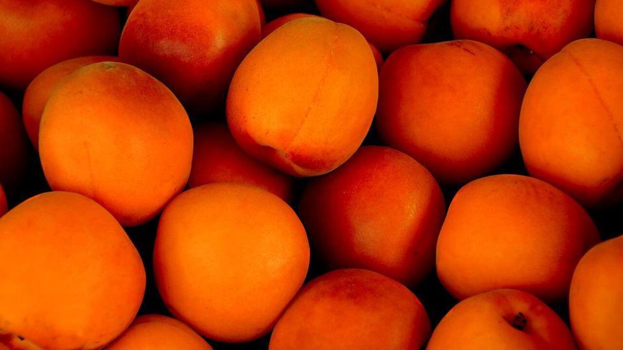 How to freeze apricots for the winter: whole, in halves and with sugar