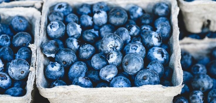 Blueberries with sugar in their own juice: the most popular winter preparation