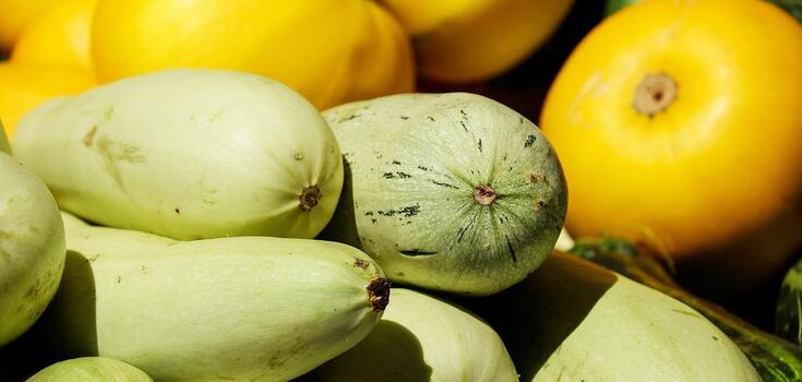 How to cook zucchini deliciously in 20 minutes: salad and appetizer at the same time
