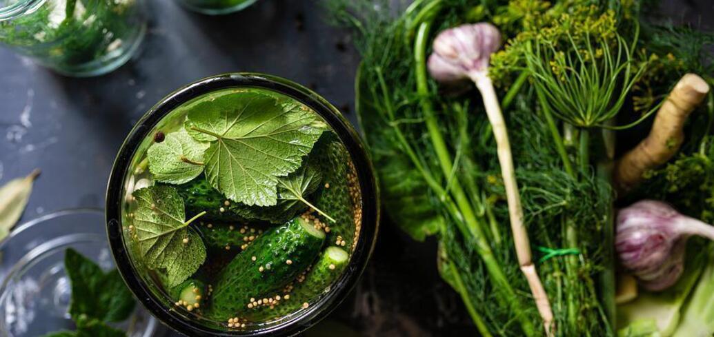 Przepis na ogórki z czosnkiem i liśćmi jagodowymi