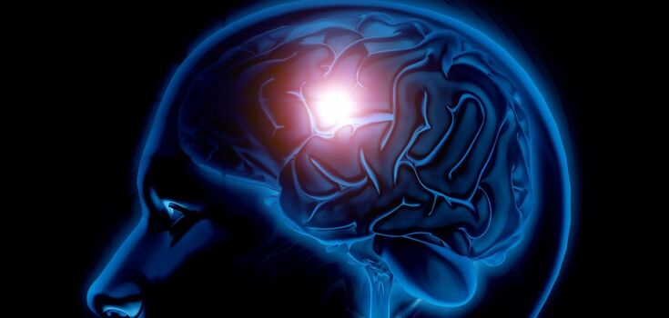 Who is smarter and has a better memory - "larks" or "owls"? Unexpected study results