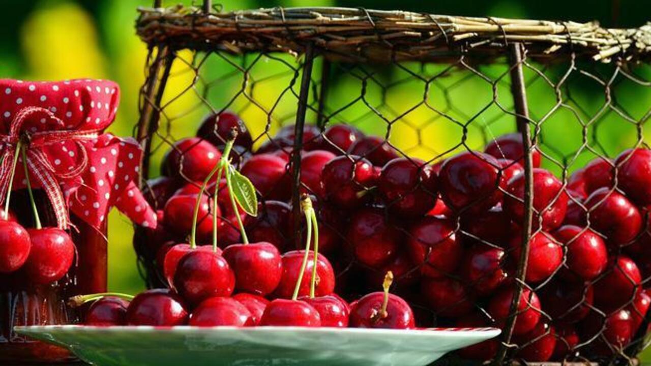 Simple wild cherry pie: how to prepare a tasty dessert for tea