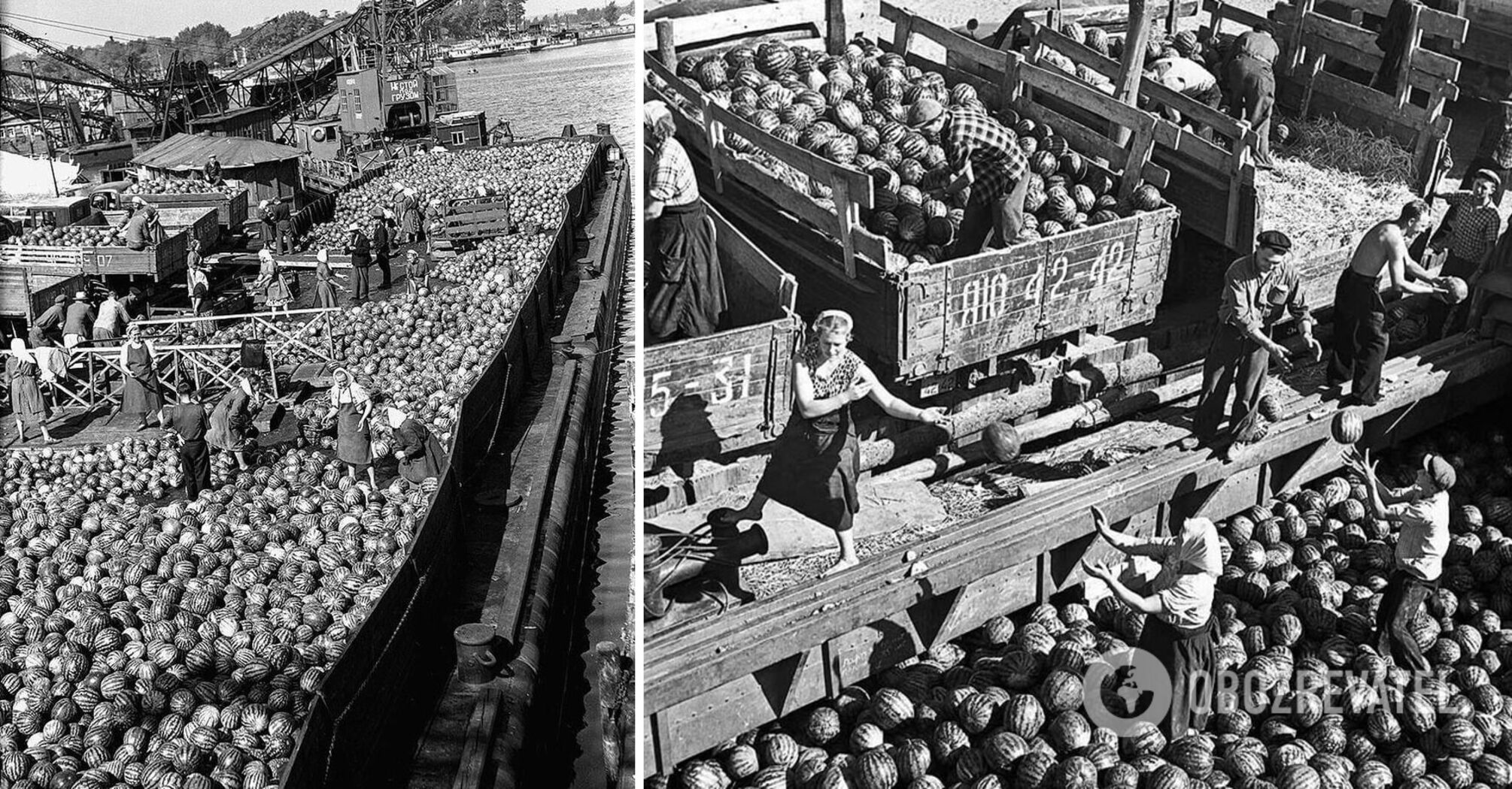 Unloading barges with watermelons at the Kyiv pier.