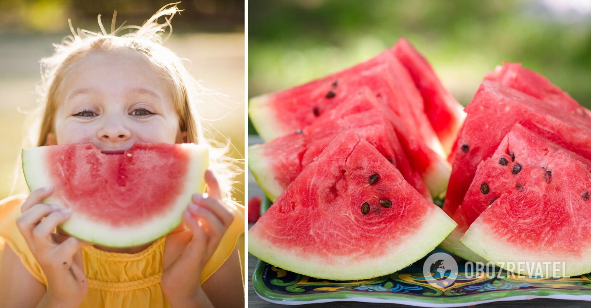 How to choose a good watermelon: the expert announced the top signs