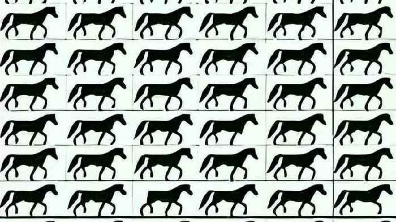 You have 9 seconds: a puzzle that only a select few can do